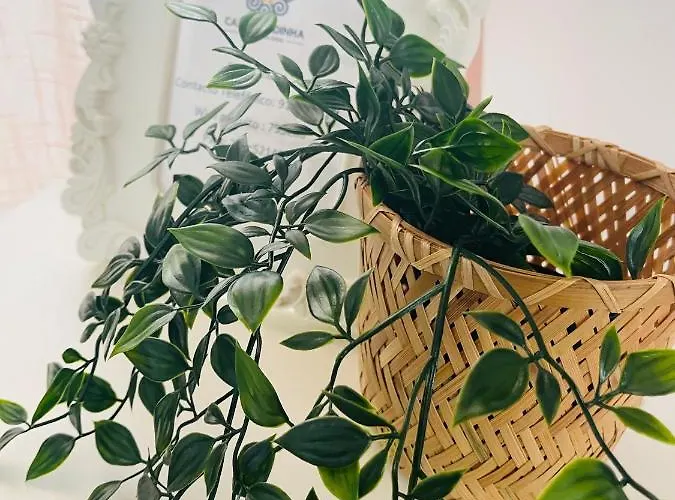 Дом отдыха Casa Candinha